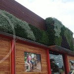 G-Wall , jardines verticales en Argentina