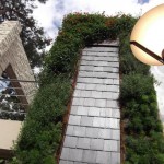 Jardines verticales en Argentina, G-wall