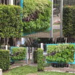 Jardines verticales Luis Pasqualini, Vivir el verde