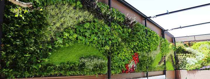 muro verde