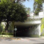 Guillermo Herrera, jardines verticales en Mexico, Xalapa