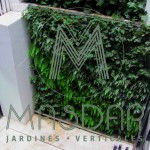 Nadir Laquis, Masdar, jardines verticales en Argentina