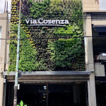 Vicky Parra, Vertec - Jardines verticales en Argentina