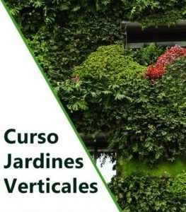 Curso profesional de jardinería vertical en Chile. Formación con el mejor sistema constructivo del mercado.