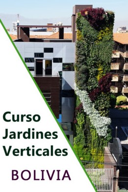 Curso profesional de jardinería vertical en Bolivia. Formación con el mejor sistema constructivo del mercado.