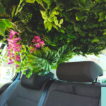 Plantas artificiales en auto