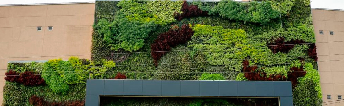 jardin vertical bolivia